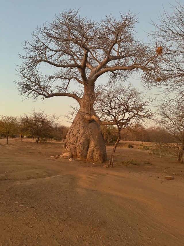 whatsapp image 2024-11-05 at 1.46.04 pm