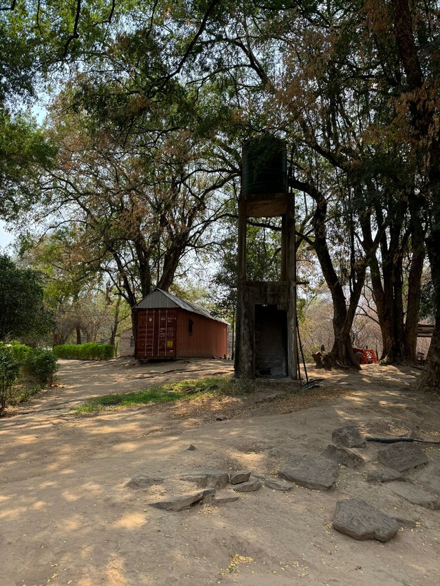 whatsapp image 2024-11-05 at 1.46.20 pm