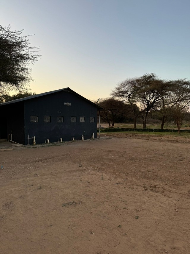 whatsapp image 2024-11-05 at 1.51.34 pm