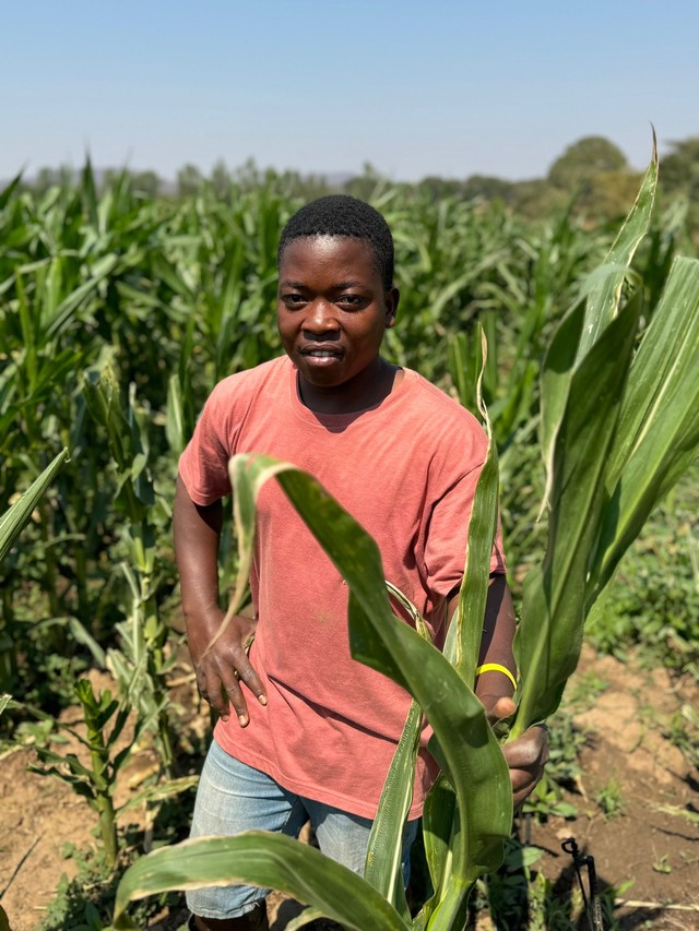 whatsapp image 2024-11-05 at 1.54.11 pm (4)